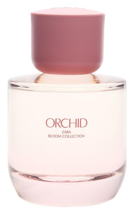 Perfume Zara feminino Orchid Eau de Parfum 90 ml, frasco redondo